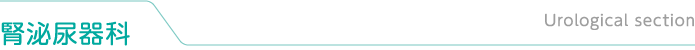 腎泌尿器科
